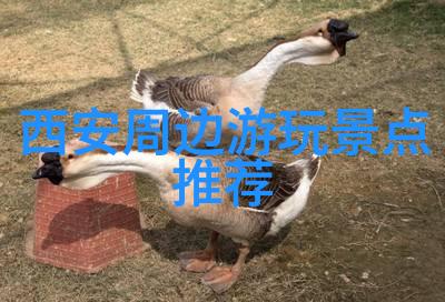 西游记之三打白骨精唐僧师徒四人行走江湖遭遇白骨精的挑战