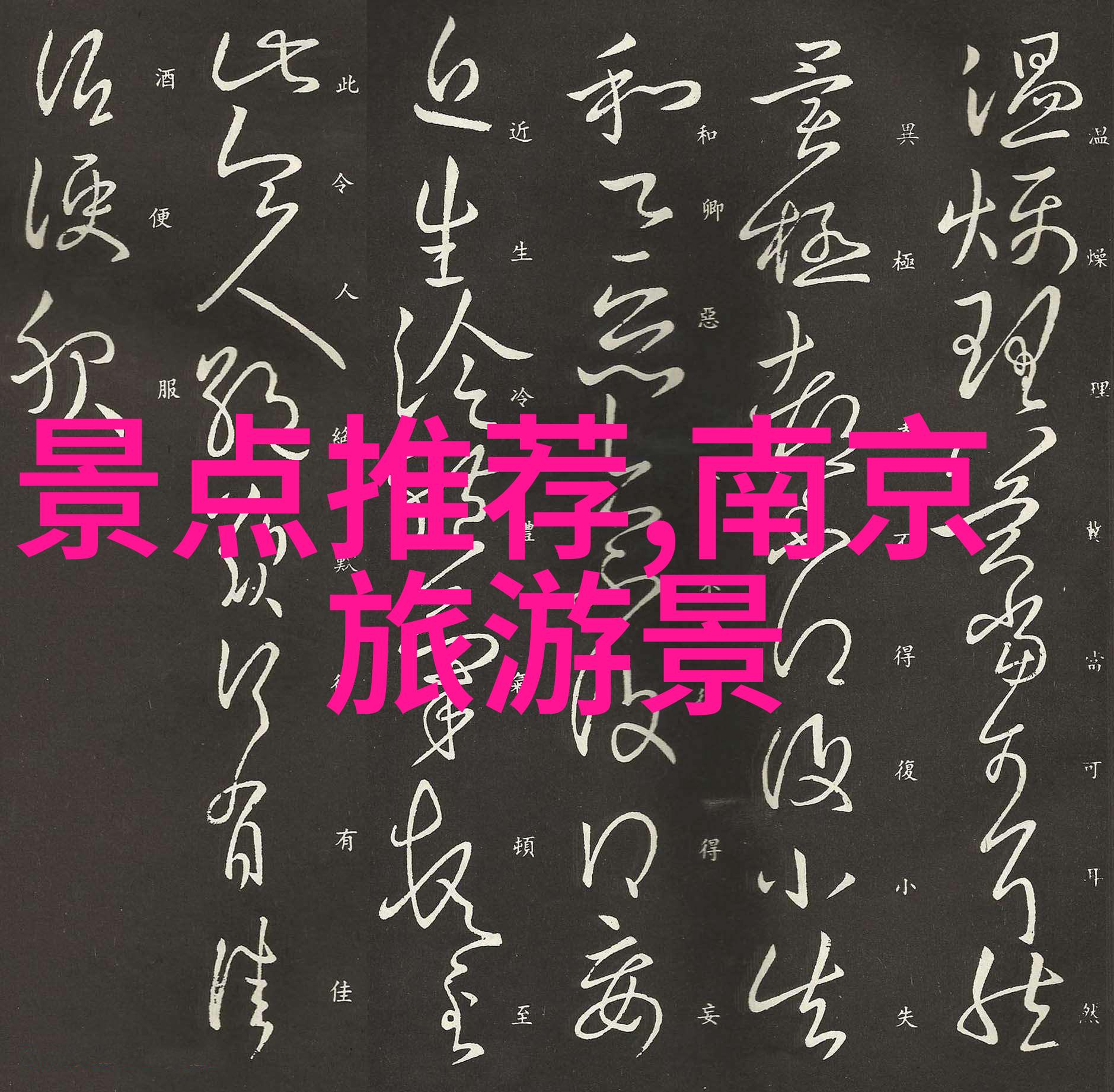 中央电视台的美食节目中有哪些介绍中国十大小吃街的