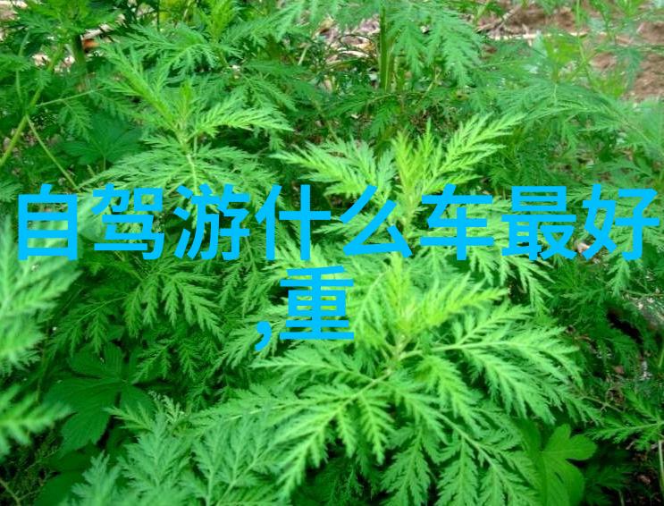 异世农场主-穿越者与土地的和谐异世农场主的生存之道