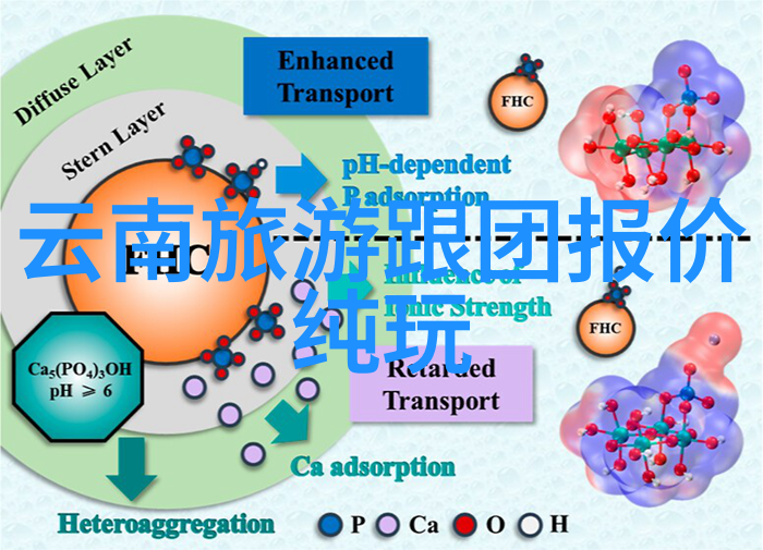 贵妃的日常一场承宠的舞台