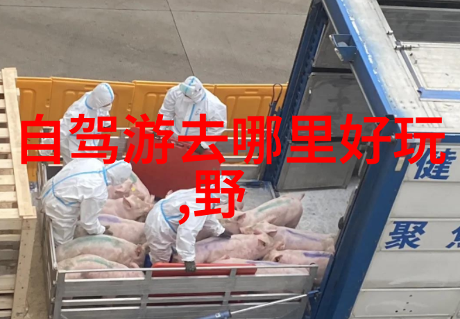 上海南京路美食探秘品味江南风情的美味佳肴