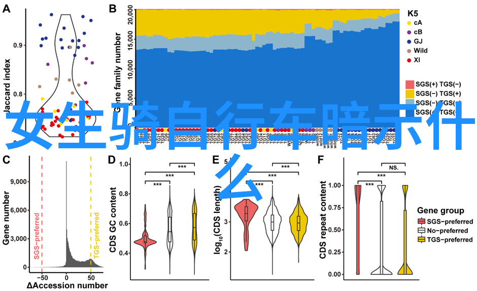 甘肃自驾游青藏高原下的梦想征程