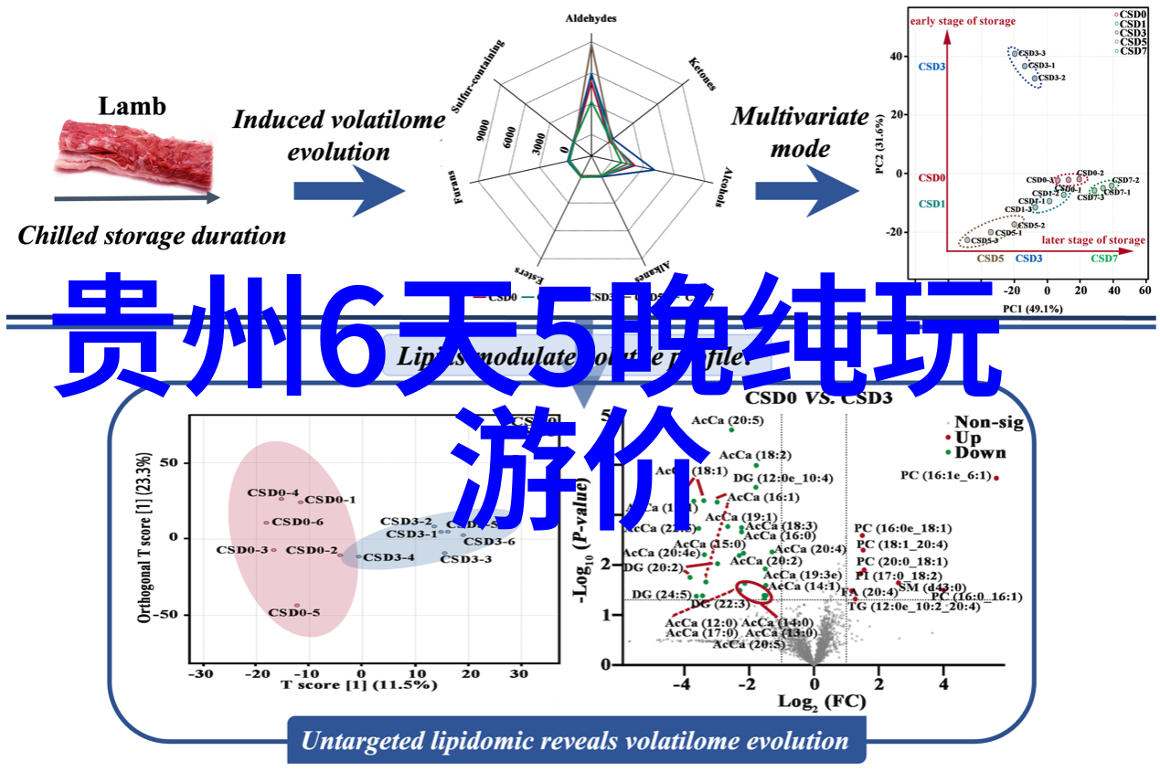 风帆漫步刘伟元的骑行奇遇