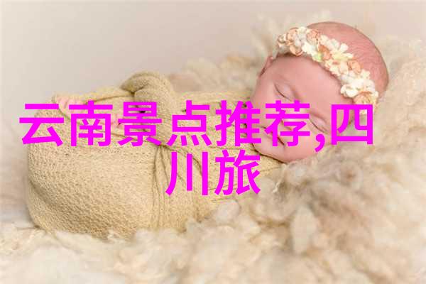 厦门美食如同海上丝绸各个省份的特色美食交织成一幅风味独特的美食画卷