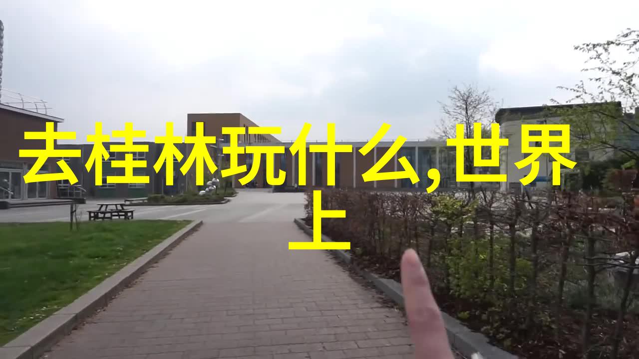 老年旅游专列游银发族的旅行奇遇记