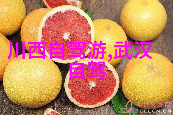 雅安市的灵魂圣索菲亚大教堂感受历史与文化的共鸣