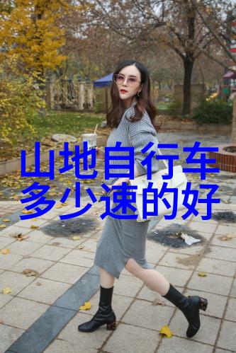 骑行启程探索自行车旅行的魅力与挑战