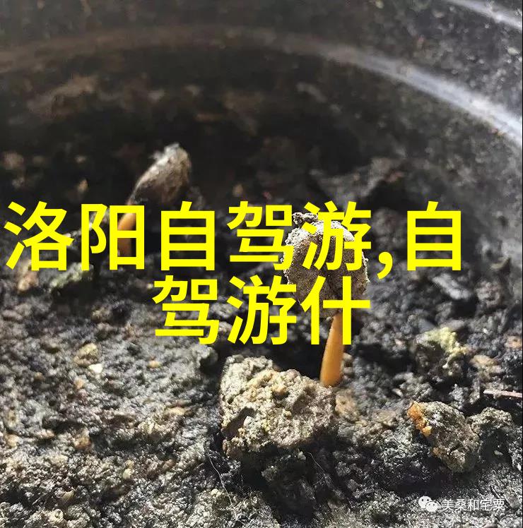 探索五一自驾游之美选址策略与文化体验的学术探究