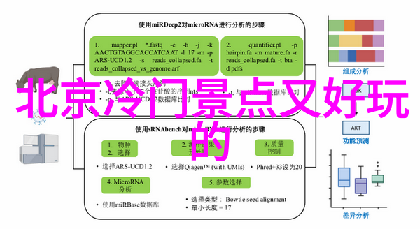 成都小吃街的秘密只有本地人才知道的美食之选