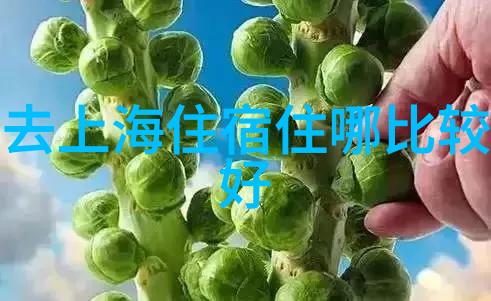 云南边陲的秘密花园探索千户苗寨的传统与现代融合