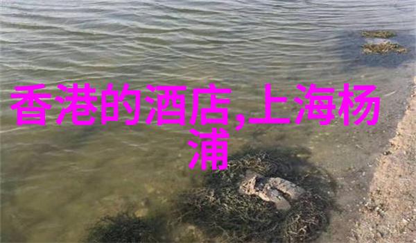 探秘旅拍镜头下的美丽风景与故事