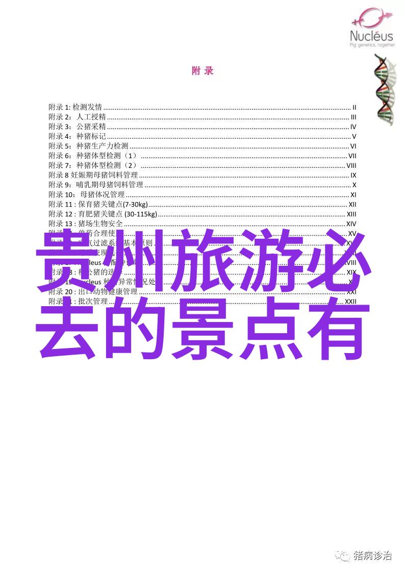 冲浪初学者必备自然小班户外活动教案百问