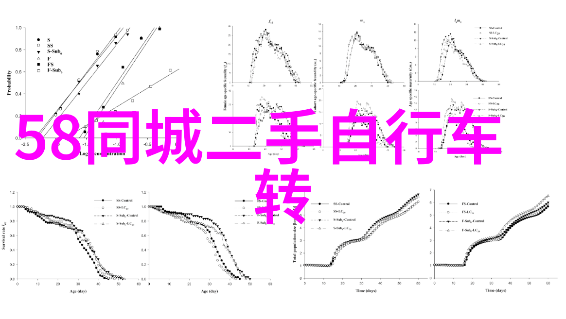 成都私人导游推荐揭秘锦里古韵与宽窄巷子独特魅力