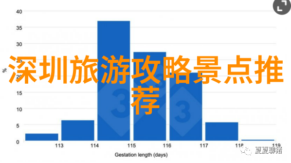 每一步都是征服心中有个世界我与自驾游社群的故事