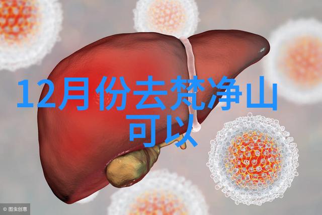 南非驻北京大使馆签证处联系方式与中国旅行社国内游报价相比便捷多了其地址则如同一张地图指引着每一步旅途