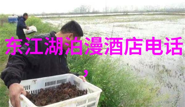 探索骑行软件app如何选择合适的工具提升您的骑行体验