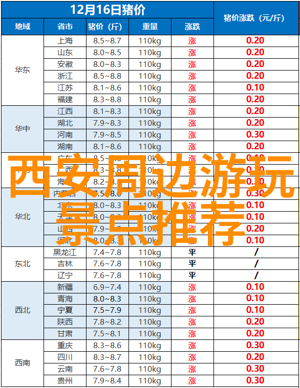 逆境中的旅行中国出境游何时重启