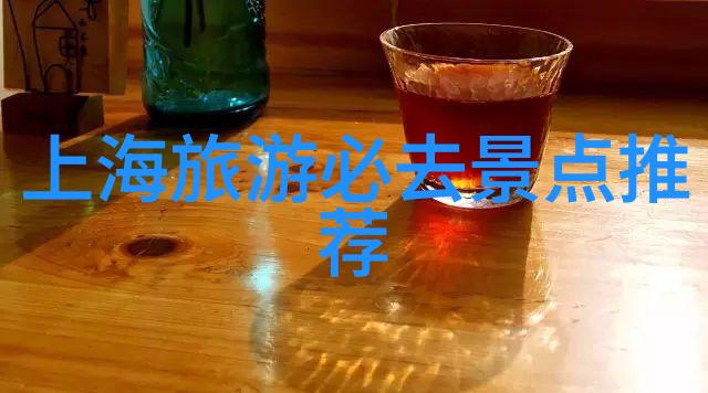 上海美食探秘我要吃遍上海那些让人回味无穷的美食