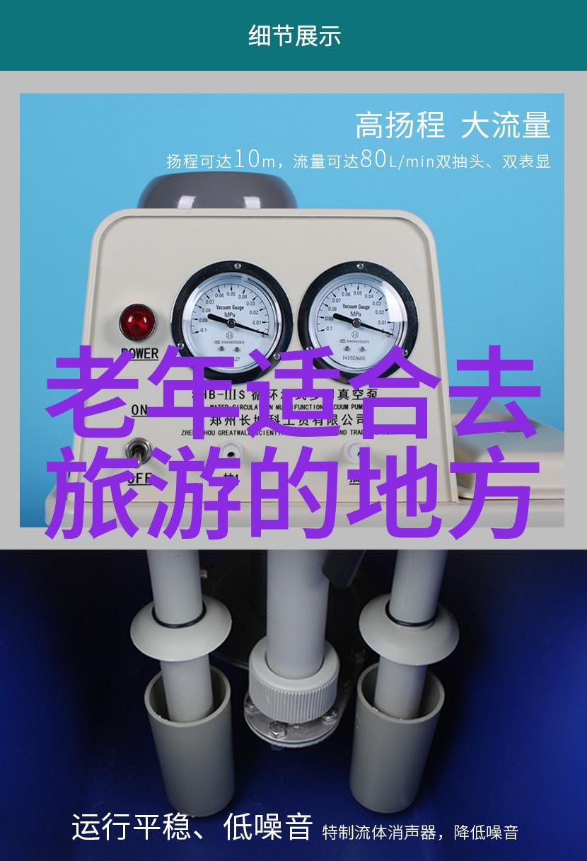 法国空姐完整版剧情HD爱的航班在云端起飞