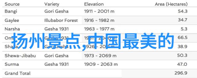 南京美食盛宴南京小吃盐城三鲜面草根炒饭