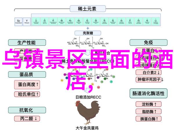 大理古城漫步探索大理的悠久历史与迷人风情