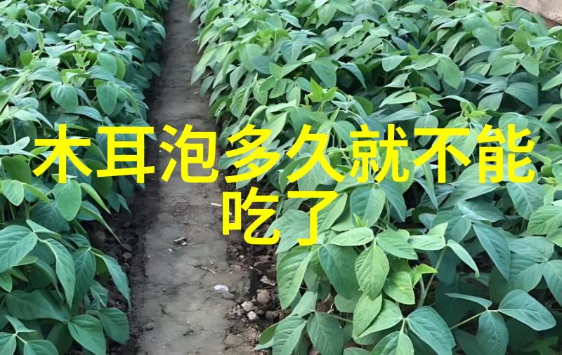 北京当地人都去哪吃小吃 - 北京人的味道追踪老城区最受欢迎的小吃聚集地