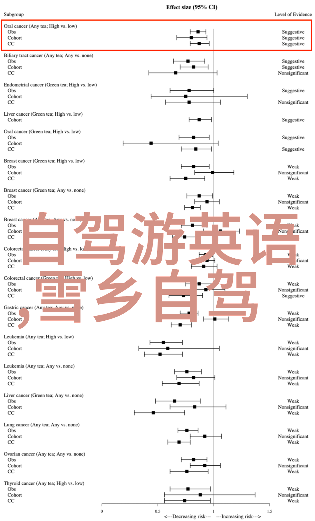 公司团队建设活动策划书