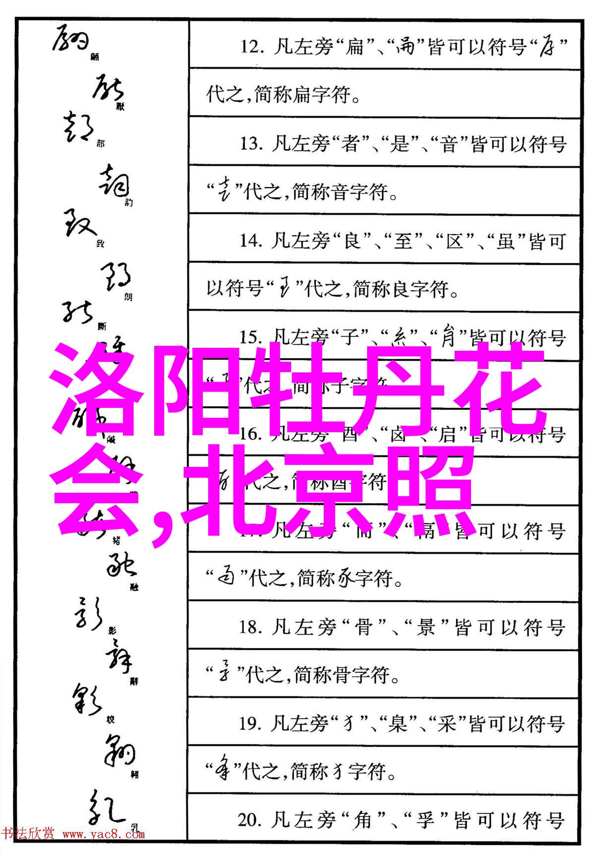 四年的种子一个夏天的成长植物园游记