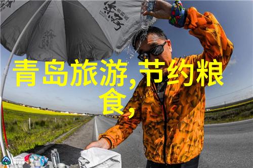 探索未来旅游的新范式预约健康码和无感化身记一位游客在2022年的体验