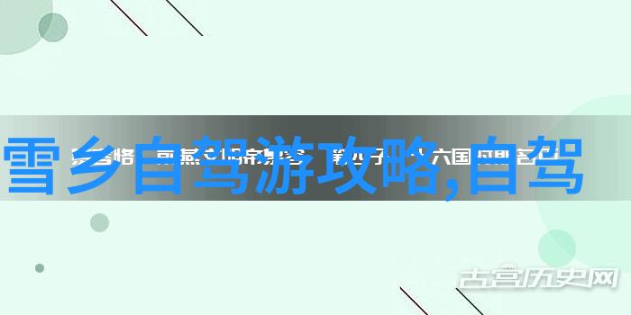 学长插笔错题启示一支笔下的成长故事