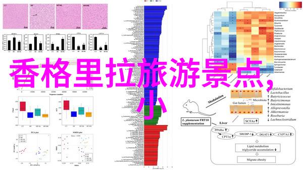 古埃及金字塔图片中隐藏的符号意味着什么