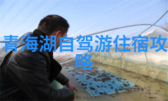 我附近的旅游公司周末出游跟随我找那些靠谱的小伙伴