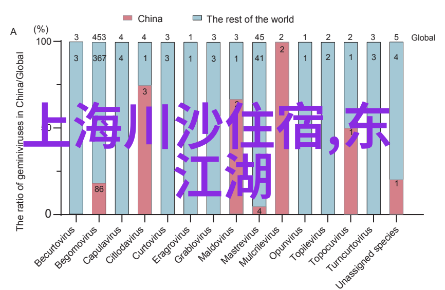 探秘迷雾森林