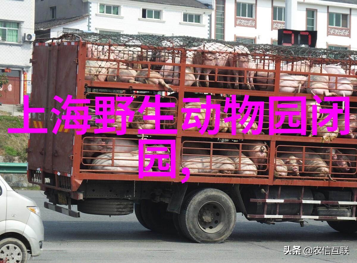 穿越风景如画的山路感受318线自驾游之旅