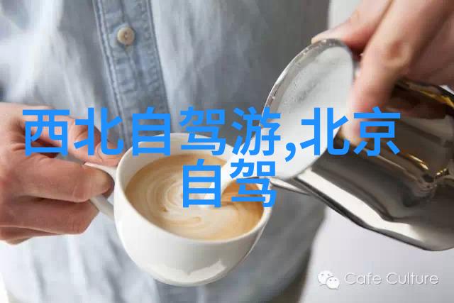 上海小吃盛名哪些美食最受欢迎