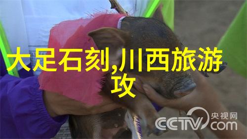 中国美丽角落探索国内最动人旅游胜地