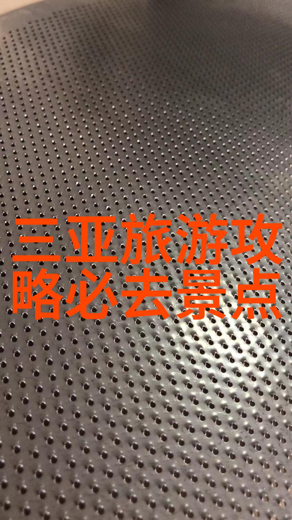 探索浦东风光上海自驾游之旅