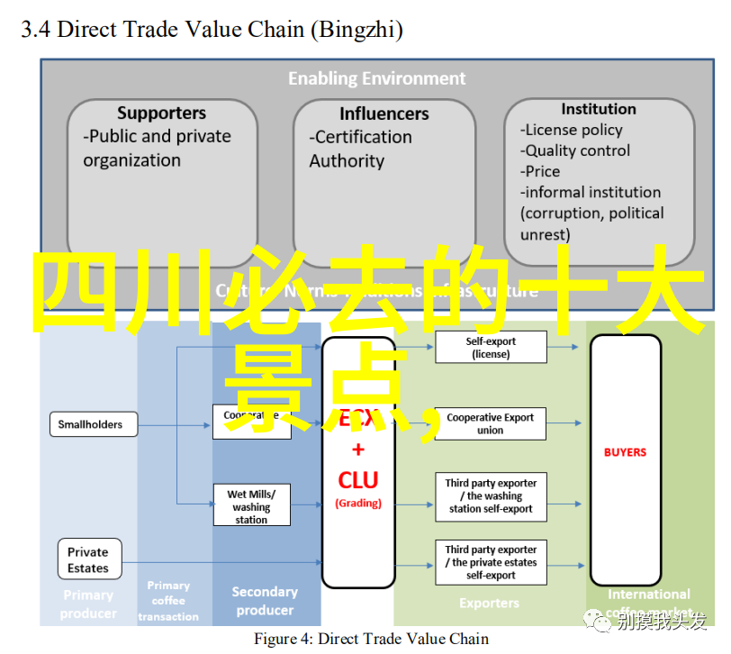 自行车刹车技巧有哪些要点