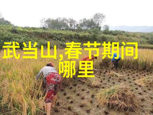 中国最美丽的旅游胜地等你来发现