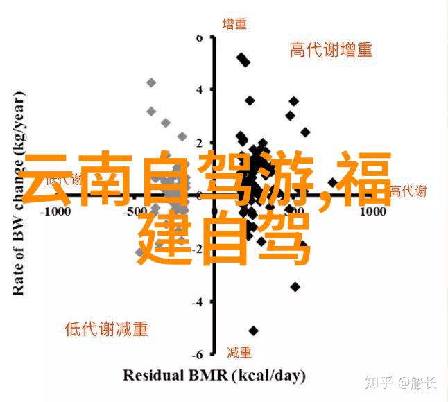 探究当地美食资源分析附近餐厅的口味特点与顾客满意度