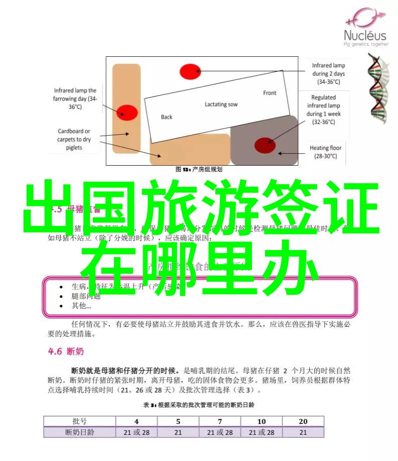 明十三陵旅游攻略探索中国皇帝陵寝的神秘与辉煌