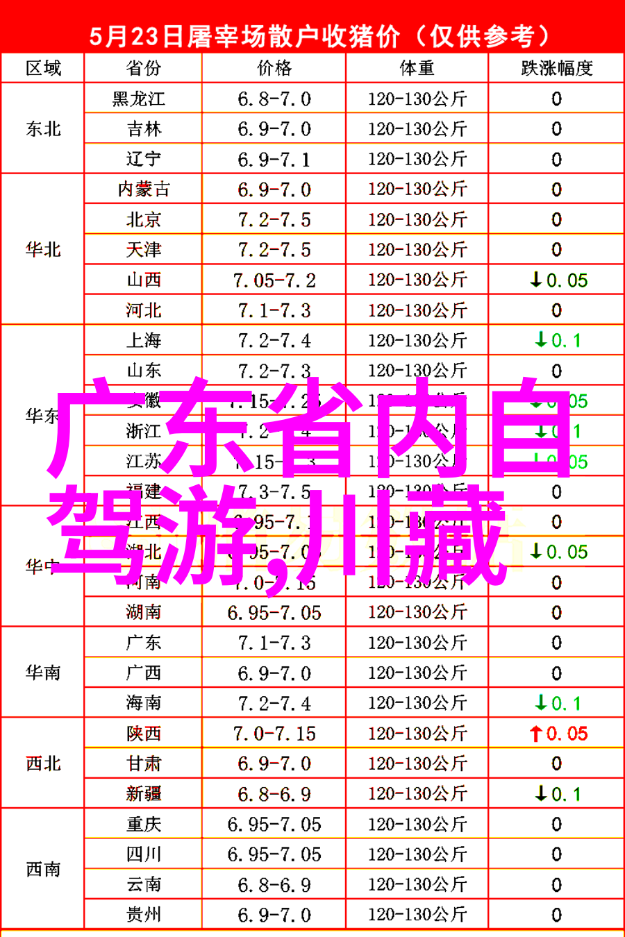 探秘全球美食宝库每个角落都藏着怎样的味道奇遇