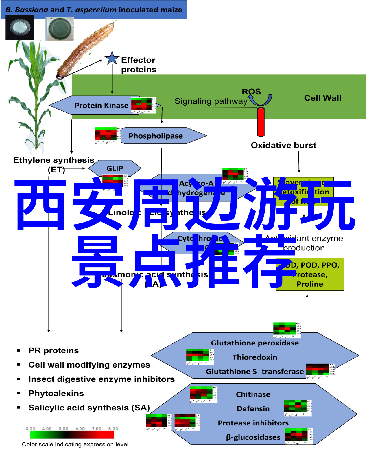 儿童拓展训练项目有哪些让小朋友开心飞翔亲子户外探索体验