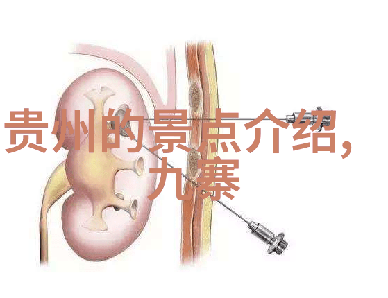 探索城市魅力2日自助游攻略