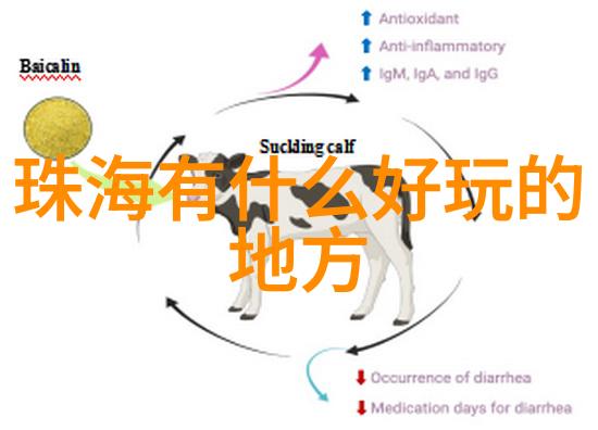 1月桂林旅游攻略必去景点冰雪变幻的山水奇观