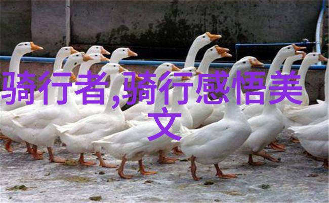 今天兄长黑化了吗兄长的逆袭与内心世界