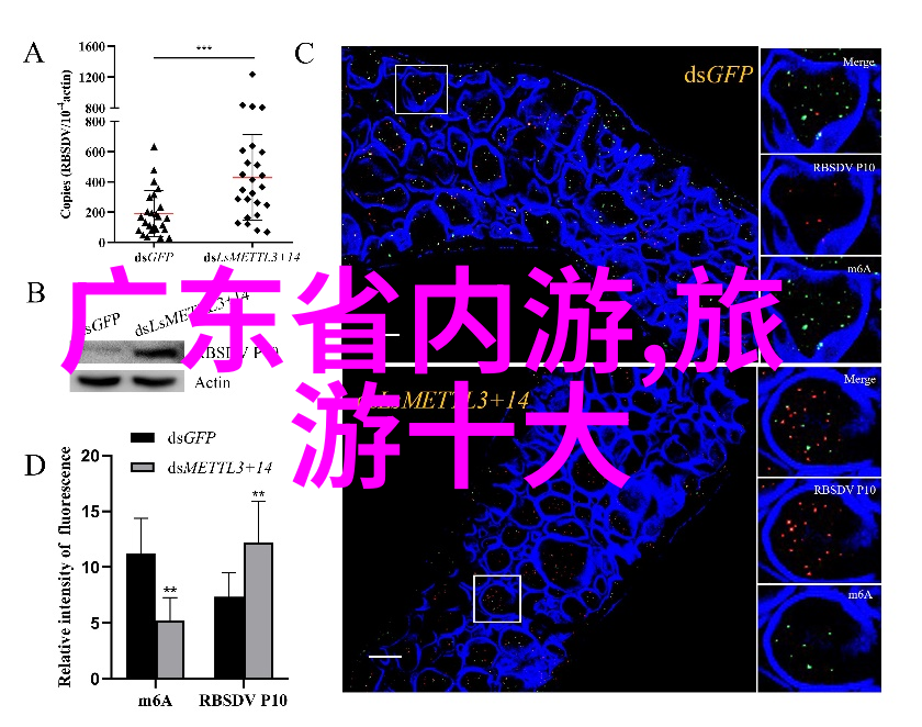 骑行网我在网上的自行车冒险