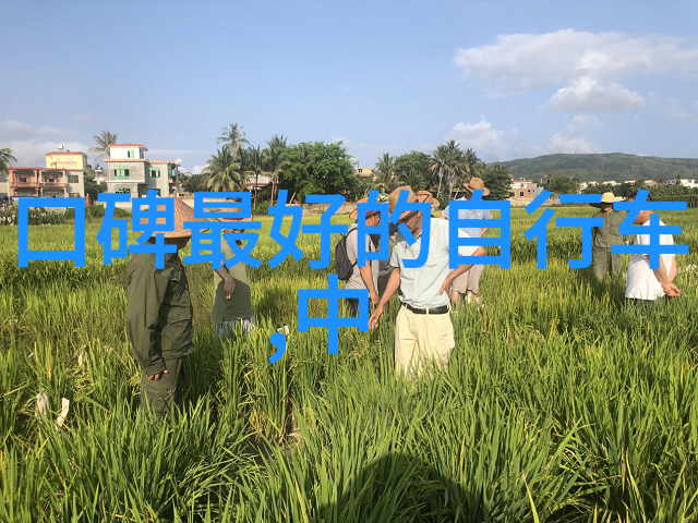 三日游旅游团报价-探秘精彩三日游旅行团优惠报价大揭秘