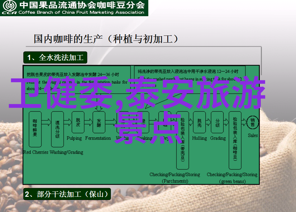 护国孤儿院与北海公园一同感受京城绿意盎然