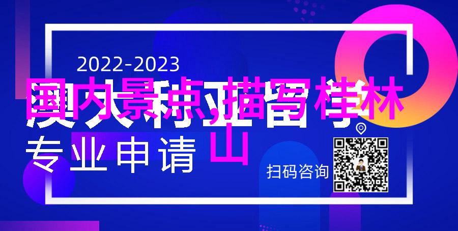 公司团建拓展我和同事们的荒岛求生大冒险